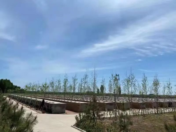 昌黎皮毛廠標簽印刷環(huán)保爭議